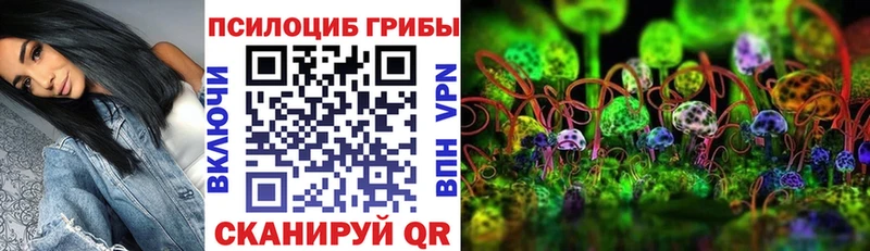 наркота Курлово Псилоцибиновые грибы Psilocybe